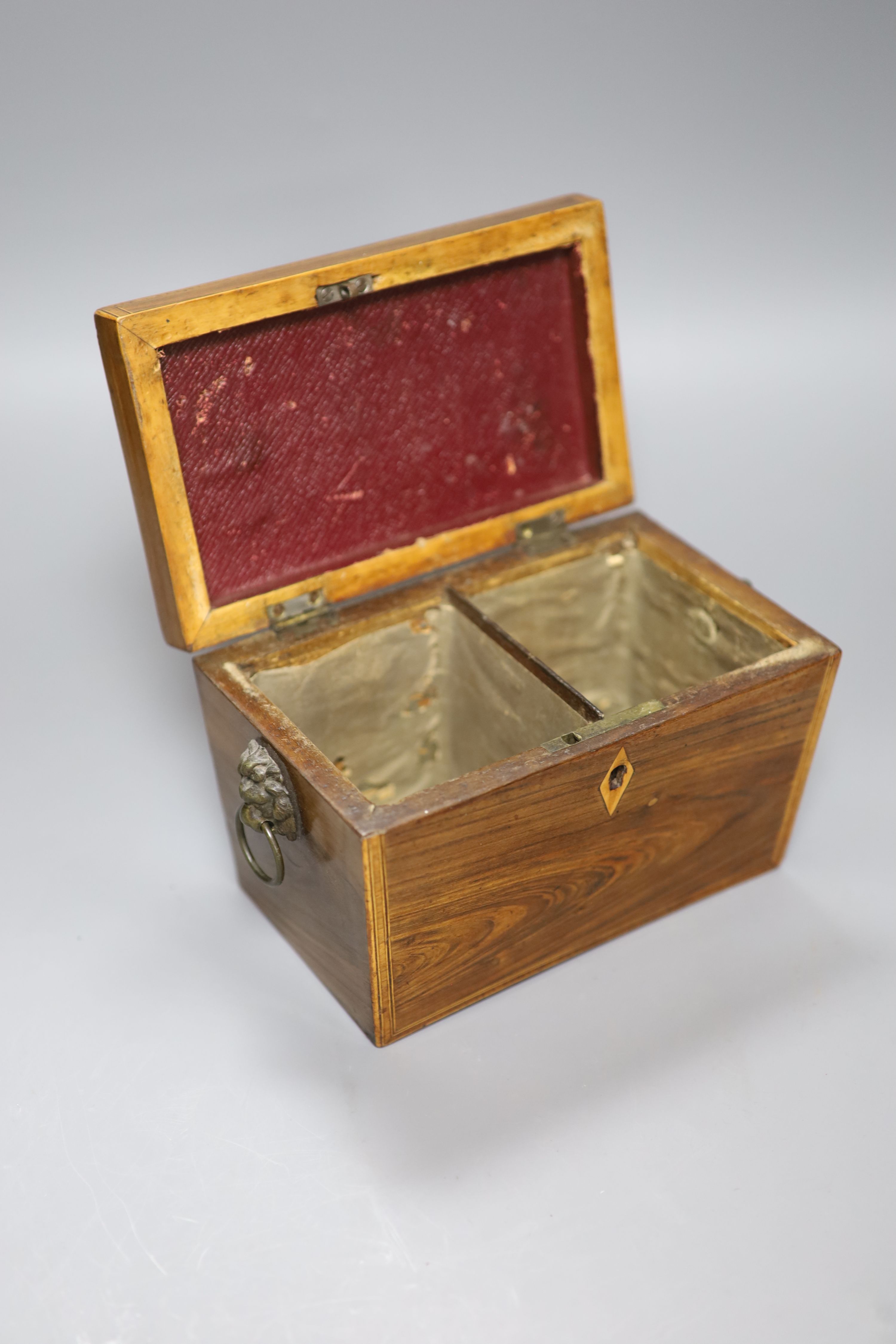 A Regency kingwood? tea caddy, length 20cm